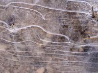 Geschwungene helle Linien im klaren Eis